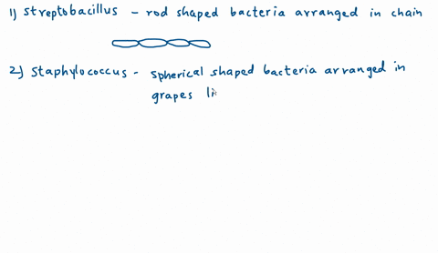 which-of-the-following-describes-the-bacterial-arrangement-in-the-image-streptobacillus-staphylococcus-diplobacillus-streptococcus-26393