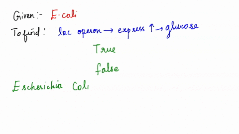 the-wild-type-strain-of-e-coli-express-the-lac-operon-at-a-high-level-when-grown-on-media-containing-glucose-true-false-56497