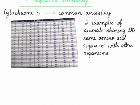163-cytochrome-amino-acid-sequence-fauman-shan-amino-chicken-fror-tuttle-momcor-horso-phe-ih-ihc-ls-an-asn-asn-gly-gly-ile-_-thr-gly-glul-glu-glu-asp_-tbc-ley-met-glu-ser-asp_-thr-leu-ket-gl-23855