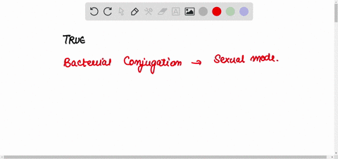 conjugation-ocurrs-as-sexual-mating-between-bacteria-true-or-false-28291