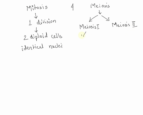 which-of-the-following-statements-is-correct-meiosis-involves-one-division-and-produces-two-nonidentical-daughter-nuclei-mitosis-involves-two-divisions-and-produces-four-identical-daughter-n-12052