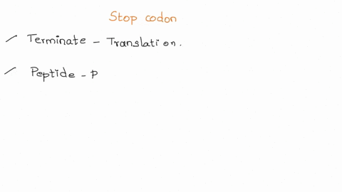 how-are-the-stop-codons-recognized-at-the-end-of-translation-process-please-describe-the-roles-of-release-factors-rfs-in-termination-please-also-describe-how-the-ribosome-recycling-factor-rr-34412
