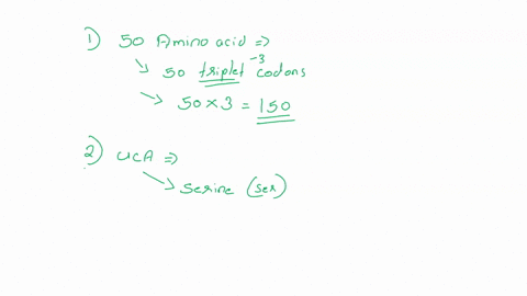 questions-how-many-codons-would-be-needed-to-code-for-a-protein-that-has-50-amlno-acids-what-amino-acid-brought-to-mrna-by-trna-if-the-mrna-codon-is-uca-protein-molecule-consists-of-the-sequ-55494