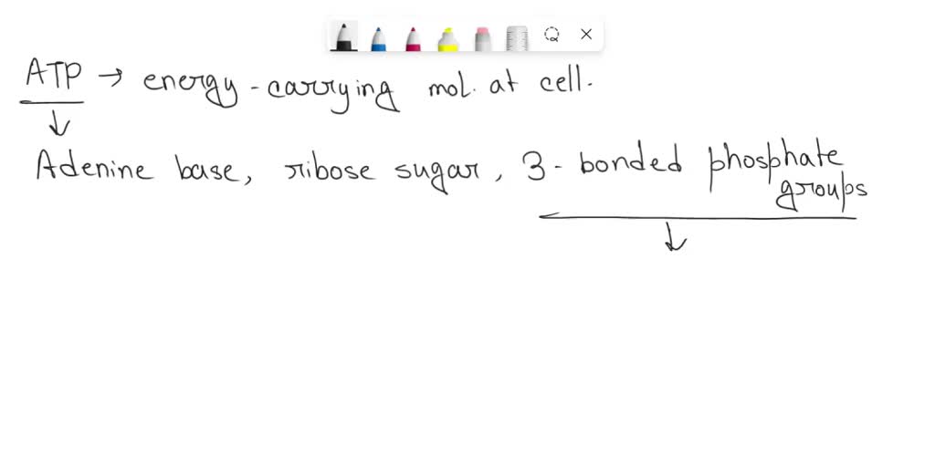 SOLVED What type of high energy bond is created between phosphates in