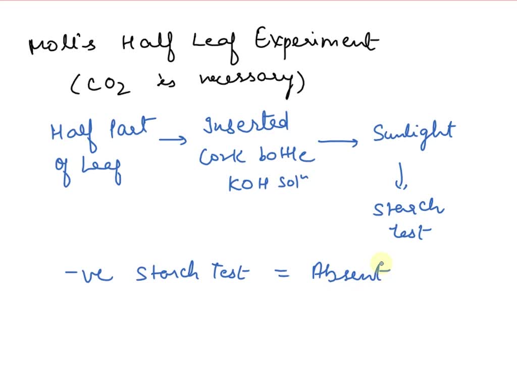 write the procedure of moll's half leaf experiment