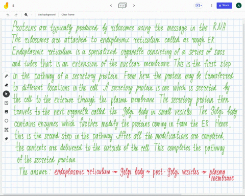 put-the-following-structures-in-order-according-to-the-pathway-of-a-secreted-protein-a-plasma-memb-7-39714