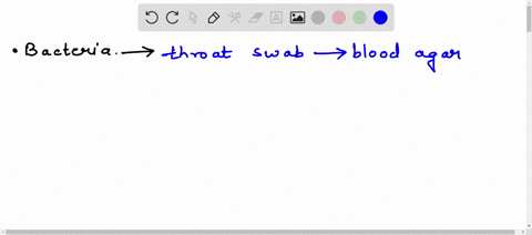 when-bacteria-from-a-throat-swab-are-streaked-on-blood-agar-why-is-the-agar-stabbed-several-times-with-the-loop-62808