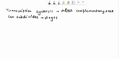 describe-the-process-by-which-rna-is-transcribed-on-a-dna-template-drag-the-terms-on-the-left-to-the-appropriate-blanks-on-the-right-to-complete-the-sentences-terms-can-be-used-once-more-tha-62783