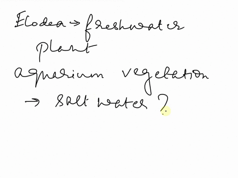 elodea-is-a-freshwater-aquatic-plant-that-is-often-used-asaquarium-vegetation-what-would-happen-to-an-elodea-plant-that-wasimmersed-in-a-saltwater-aquarium-athe-cells-of-the-plant-would-burs-49869
