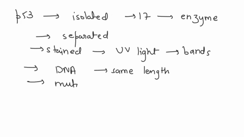 onoyze-dna-tom-aletent-ffet-lab-youu-technique-collad-gel-clechophoresh-gtos-concet-accordna-fxui-samales-ioten-tom-angie-rrero-nomon-dlopnoscd-repotted-c-mbing-the-mencan-concccoct-70-50-de-74056