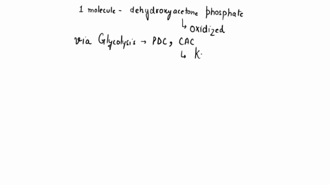 why-would-a-farmer-allow-a-field-to-be-taken-over-by-weedy-non-crop-members-of-the-bean-family-select-all-that-apply-members-of-this-family-form-symbioses-with-mycorrhizae-it-could-reduce-th-36553