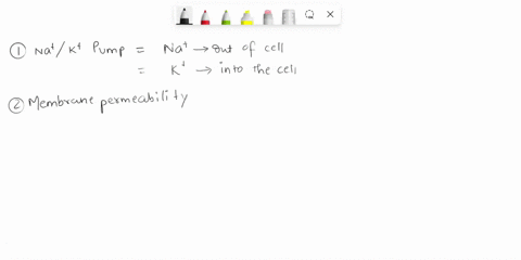 1-describe-the-generation-and-maintenance-of-the-membrane-potential-what-are-the-three-key-factors-involved-in-the-membrane-potential-how-do-certain-types-of-cells-use-the-membrane-potential-62841