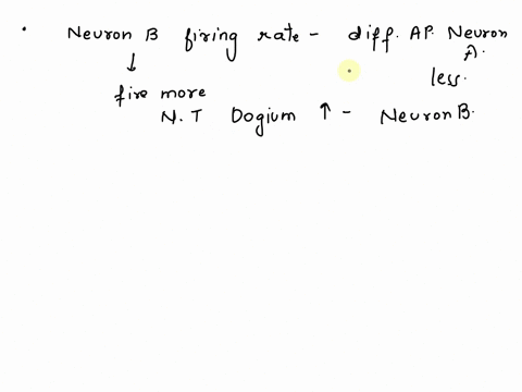 question-3-consider-the-following-synapse-presynaptic-neuron-a-o-o-postsynaptic-neuron-b-assume-the-following-neuron-a-is-a-dogium-neuron-this-means-that-it-is-a-neuron-that-releases-dogium-43226