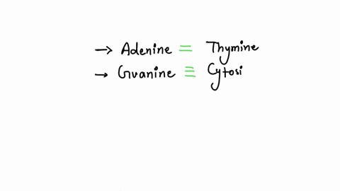 draw-the-chemical-structure-ofthe-following-double-stranded-dna-molecule-thenidentify-and-label-the-bonds-that-exist-in-thc-dna-molecule-you-have-drawn-5-attg-u-taac-5-what-the-net-charge-of-34986