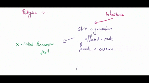 in-the-pedigree-shaded-symbols-represent-affected-individuals-the-trait-is-rare-and-simply-inherited-the-most-likely-mode-of-inheritance-is-what-is-the-genotype-for-each-of-the-following-ind-99349
