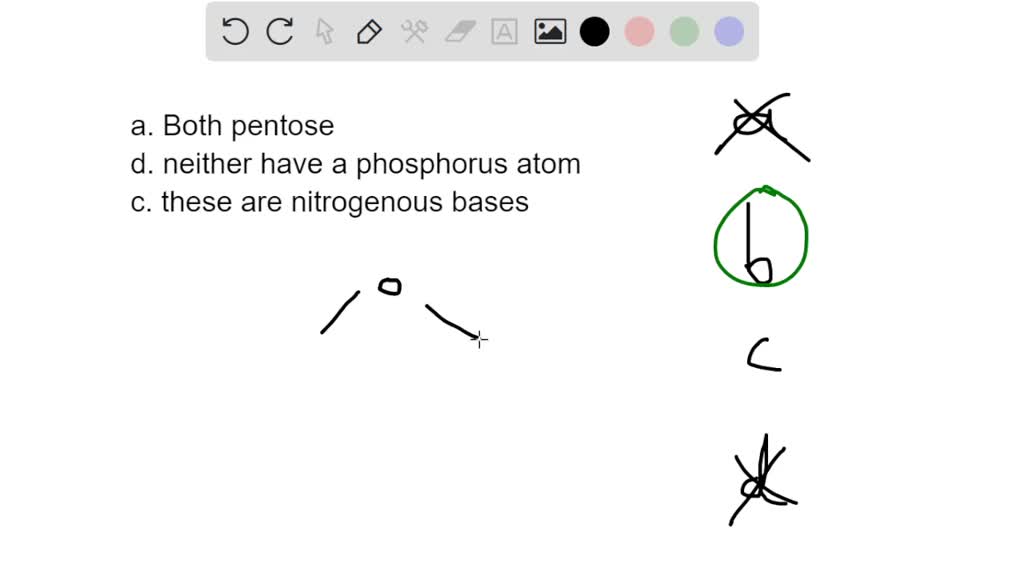 SOLVED How do the sugars of RNA and DNA differ? a. RNA has a six