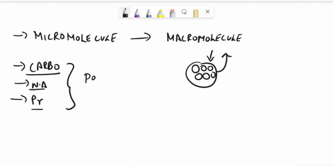 which-of-the-following-is-not-a-macromolecule-lipids-protein-carbohydrates-none-of-the-above-15916