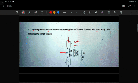 22-the-diagram-shows-the-vessels-associated-with-the-flow-of-fluids-to-and-from-body-cells-which-is-the-iymph-vessel-51973