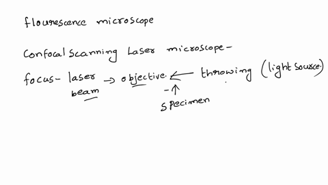 which-microscope-is-most-like-the-fluorescence-microscope-it-terms-of-its-operating-principle-group-of-answer-choices-atomic-force-microscope-differential-interference-contrast-microscope-co-06503