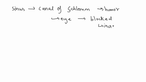 blockage-of-the-scleral-venous-sinus-might-result-in-a-a-sty-b-glaucoma-c-conjunctivitis-d-a-catarac-49097