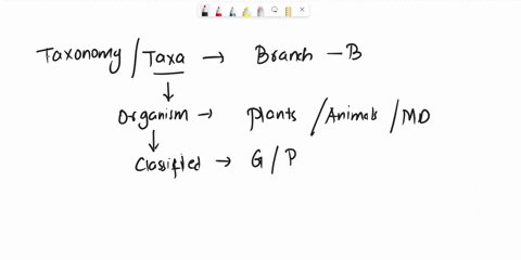 a-taxon-is-the-phylum-class-order-genus-or-species-name-which-indicates-how-an-organism-is-classified-a-true-false-45616