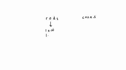 the-visual-receptors-responsible-for-color-vision-are-the-cones-the-rods-and-the-cones-equally-the-rods-exclusively-the-rods-and-sometimes-the-cones