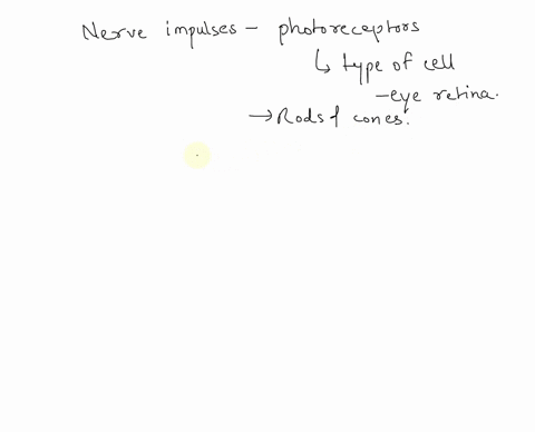 when-photoreceptors-are-activated-they-synapse-with-___________-cells-which-then-relay-to-____________-cells-question-options-a-bipolar-amacrine-b-ganglion-horizontal-c-bipolar-ganglion-d-ga-01255