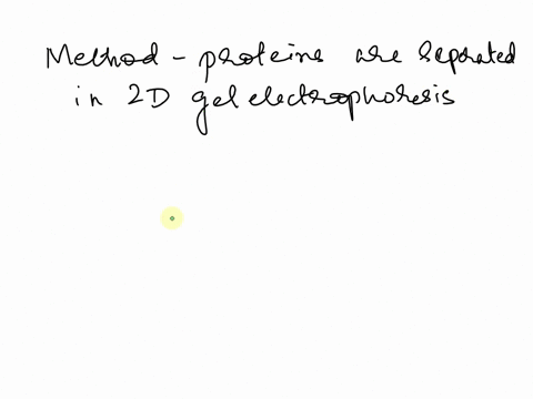 what-is-the-basis-for-separation-of-proteins-in-2-dimensional-gel-electrophoresis-37138