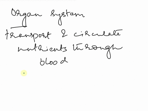 which-of-the-following-organ-system-permits-blood-to-circulate-and-transport-the-nutrients-a-circulatory-system-b-cardiovascular-system-c-vascular-system-d-all-of-the-above-15911