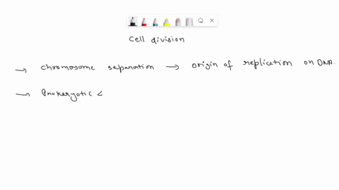 the-division-of-any-cell-prokaryotic-or-eukaryotic-requires-that-the-genetic-information-in-each-of-the-parent-cells-chromosomes-be-faithfully-copied-and-distributed-into-each-daughter-cell-82732