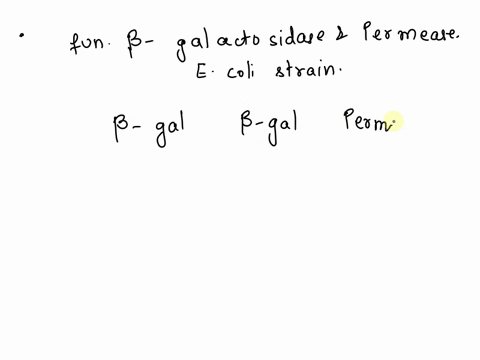 3o-predict-whether-functional-b-galactosidase-and-permcase-will-be-produced-by-the-following-e-coli-strains-under-the-conditions-noted-lac-the-diploid-strains-use-to-indicate-that-the-genoty-39642