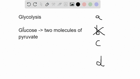 which-of-the-following-is-not-produced-by-glycolysis-a-nadh-b-pyruvate-c-atp-d-fadh-_2-99834