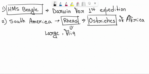 darwin-observations-complete-the-following-paragraph-to-describe-darwins-observations-that-influenced-his-theory-as-darvin-comploted-nts-five-year-voyago-a8-naturalls-aboard-the-he-made-numt-46894