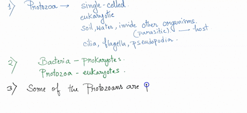 questions-name-general-characteristics-of-protozoa-state-the-main-difference-between-bacteria-and-protozoa-on-structural-level-can-we-say-that-protozoa-are-parasites-explain-ihe-belween-cyst-43423