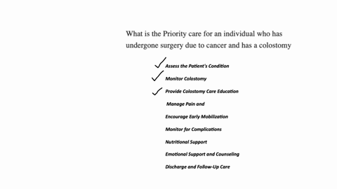 what-is-the-priority-care-for-an-individual-who-has-undergone-surgery-due-to-cancer-and-has-a-colostomy