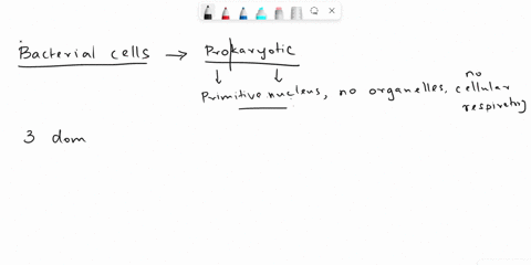 3-which-of-the-following-is-not-found-in-bacterial-cells_____a-a-cell-membrane-usually-surrounded-by-a-cell-wallb-an-internal-cytoplasm-with-ribosomes-a-nuclear-region-and-insome-cases-granu-64583
