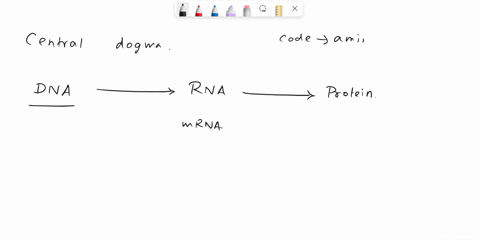 which-of-the-following-enzymes-allows-retroviruses-to-transcribe-dsdna-from-ssrna-protease-trypsinase-integrase-reverse-transcriptase-nuclease-34988
