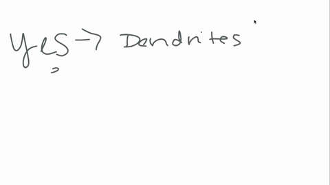 does-the-all-or-none-law-apply-to-dendrites-85296