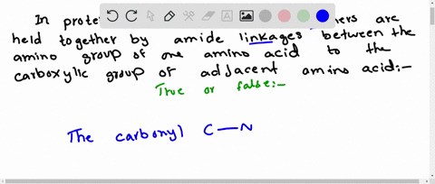 in-proteins-the-amino-acid-monomers-are-held-together-by-amide-linkages-between-the-amino-group-of-one-amino-acid-to-the-carboxyl-group-of-the-adjacent-amino-acid-true-false-95054