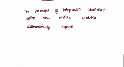 which-statements-describe-independent-assortment-check-all-that-apply-independent-assortment-occurs-during-meiosis-ii-independent-assortment-happens-during-fertilization-independent-assortme-49594