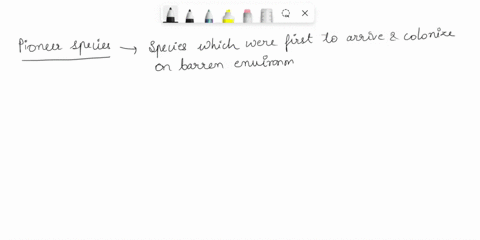 which-plant-characteristics-are-common-to-pioneer-species-03495