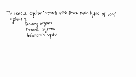 which-of-the-following-correctly-describes-the-interaction-between-body-system-a-the-nervous-system-sends-signals-to-the-brain-to-tell-the-muscular-system-to-make-the-eyelids-blink-b-the-imm-91089