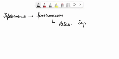 the-difference-between-topoisomerase-and-topoisomerase-ii-is-that-topoisomerase-precedes-the-dna-replisome-while-topoisomerase-i-docs-nol-topoisomerase-generates-single-strand-nicks-while-to-08434