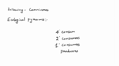 which-of-the-following-organisms-are-carnivores-secondary-consumers-decomposers-primary-consumers-producers-99545