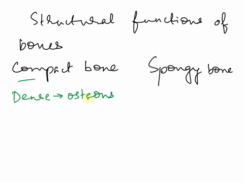 in-what-ways-is-the-structural-makeup-of-compact-and-spongy-bone-well-suited-to-their-respective-functions-48745