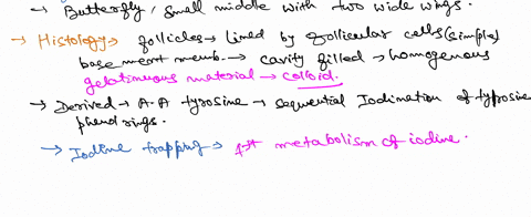 explain-the-histology-of-the-thyroid-gland-how-thyroid-hormone-is-synthesized-in-the-epithelial-cells-of-the-follicle-such-as-the-iodine-trap-the-hypothalamus-adenohypohysis-thyroid-gland-ax-71752