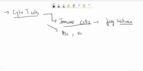 cytotoxic-t-cells-lack-specificity-for-antigen-secrete-antibody-secrete-interleukin-2-to-stimulate-b-and-t-cells-secrete-granzymes-and-perforins-that-damage-target-cells-all-of-the-choices-a-73642
