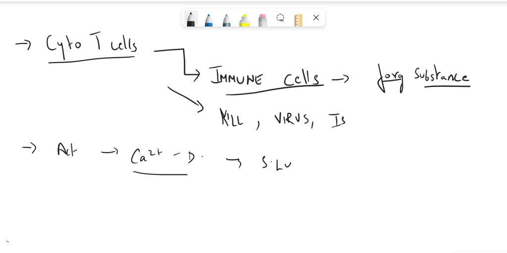 cytotoxic t cells secrete granzymes