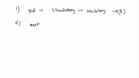 in-general-parasympathetic-inputs-t0-the-gut-are-while-sympathetic-inputs-are-a-inhibitory-stimulatory-b-stimulatory-inhibitory-hormonal-neural-d-rapid-long-lasting-7-chemical-digestion-is-i-97206