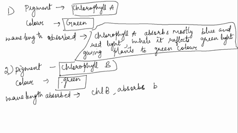 what-is-the-color-of-the-following-plant-pigments-which-wavelengths-do-they-absorb-pigment_-chlorophyll-a-chlorophyll-b-color-green-wavelengths-colorsabsorbed_-blue-red-light-green-red-blue-84378